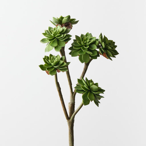 Artificial Echeveria Pick 38cm Green - Pack of 12 - FLORA DESIGNS