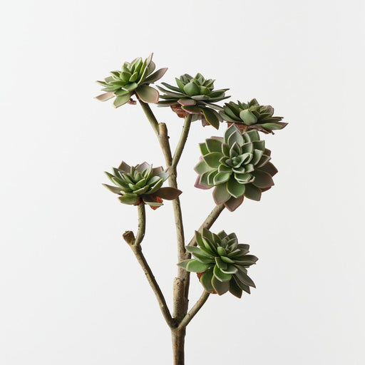 Artificial Echeveria Pick 38cm Grey Green - Pack of 12 - FLORA DESIGNS