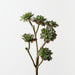 Artificial Echeveria Pick 38cm Grey Green - Pack of 12 - FLORA DESIGNS