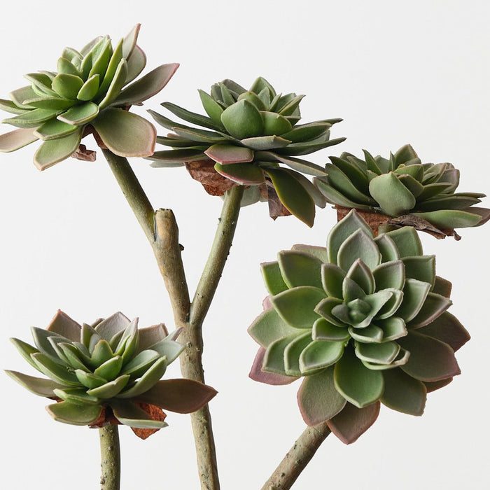 Artificial Echeveria Pick 38cm Grey Green - Pack of 12 - FLORA DESIGNS