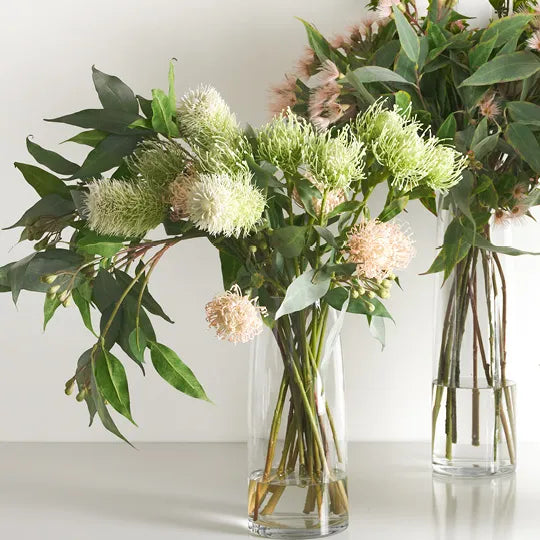 Protea Leucospermum Light Pink 63cm - Pack of 12