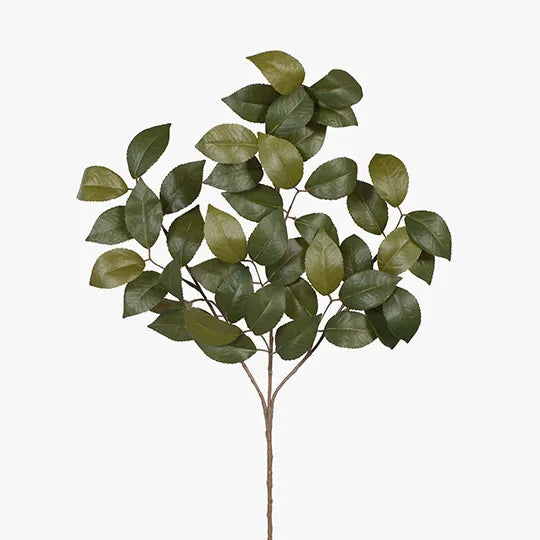 Camellia Leaf Spray Green 61cm - Pack of 24