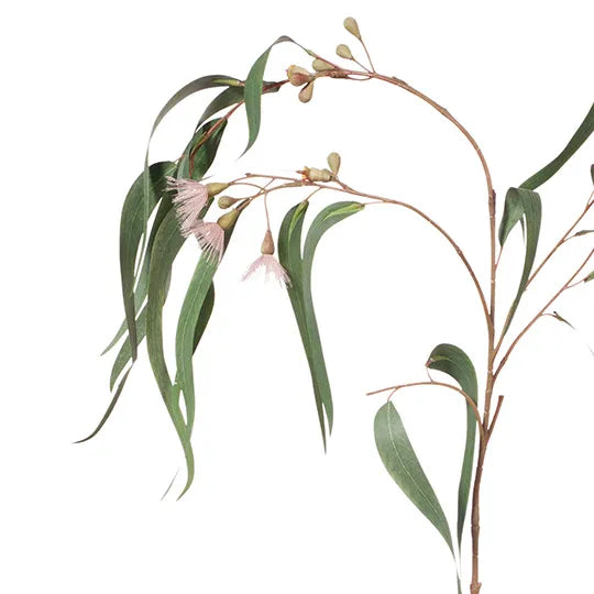 Eucalyptus Flowering Long Leaf Pink 96cm - Pack of 12