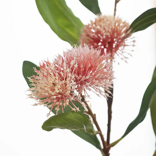 Sweet Gum Blossom Pink 71cm - Pack of 12