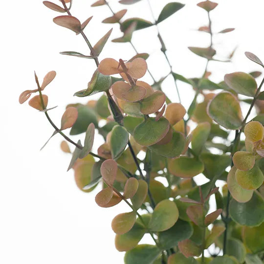 Eucalyptus Bush Olive Green 32cm - Pack of 12