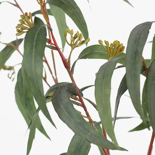 Eucalyptus Leaf & Seed Green 86cm - Pack of 12