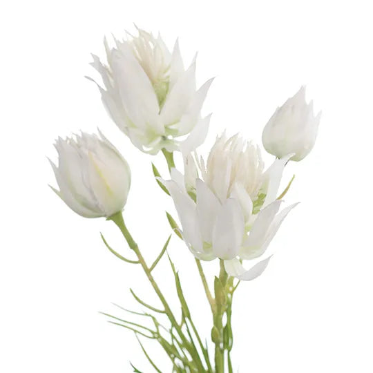 Blushing Bride Spray White 53cm - Pack of 12