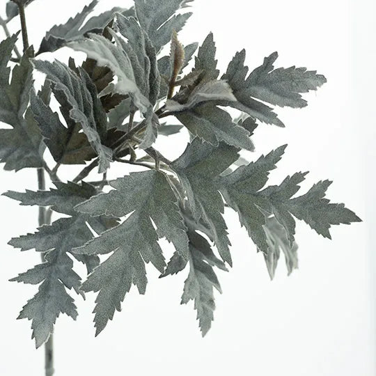 Parsley Leaf Spray Olive Green 71cm - Pack of 12