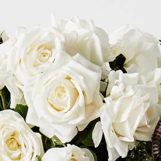 Rose Hannah White 75cm - Pack of 12