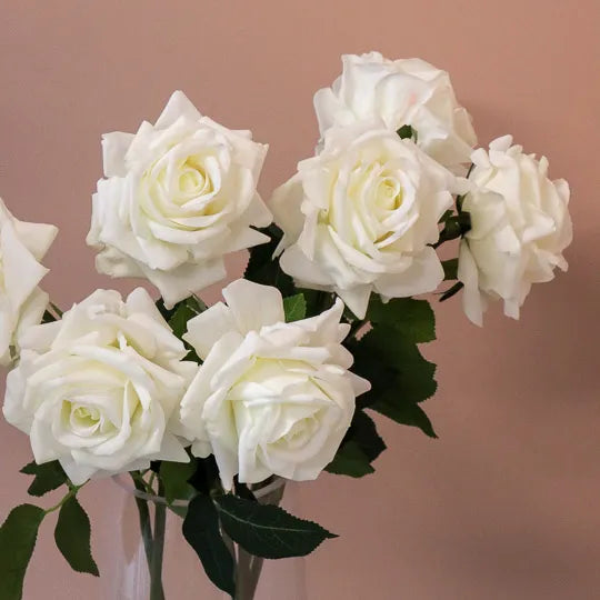Rose Hannah White 75cm - Pack of 12