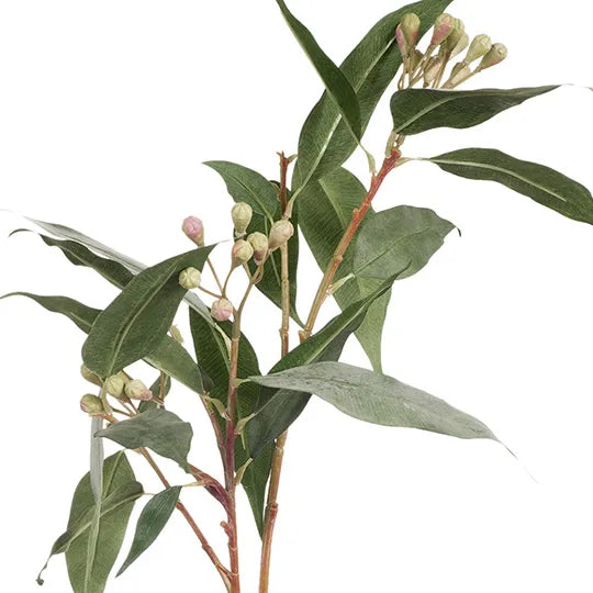 Eucalyptus Seed Spray Grey Green 83cm - Pack of 12