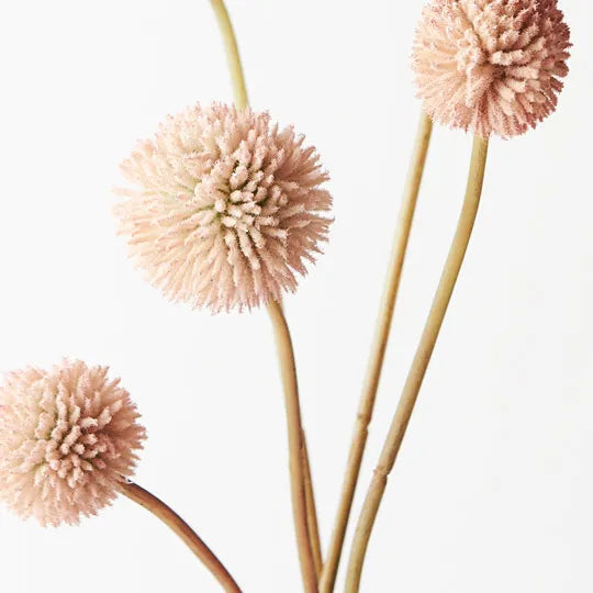 Billy Button Bundle Light Pink 48cm - Pack of 12