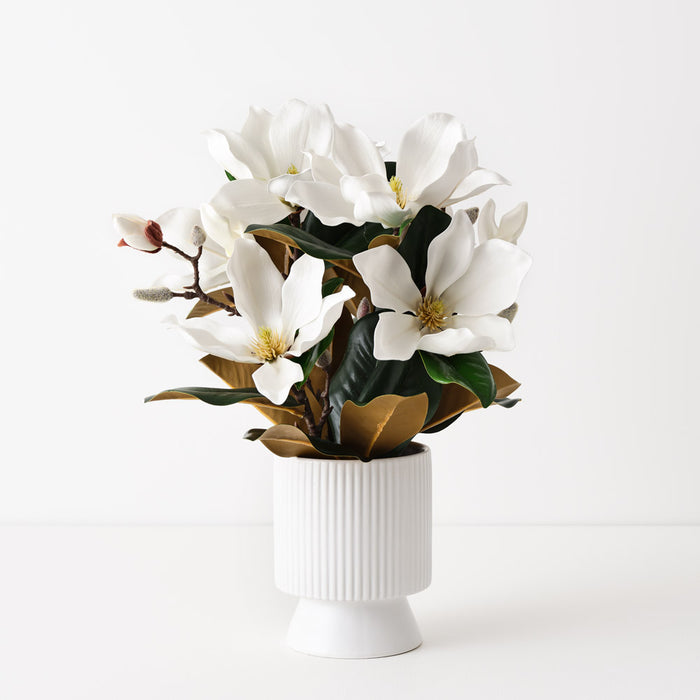 Magnolia Japanese Mix in Pot White 48cm