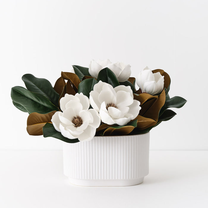 Magnolia Japanese Mix in Pot White 33cm