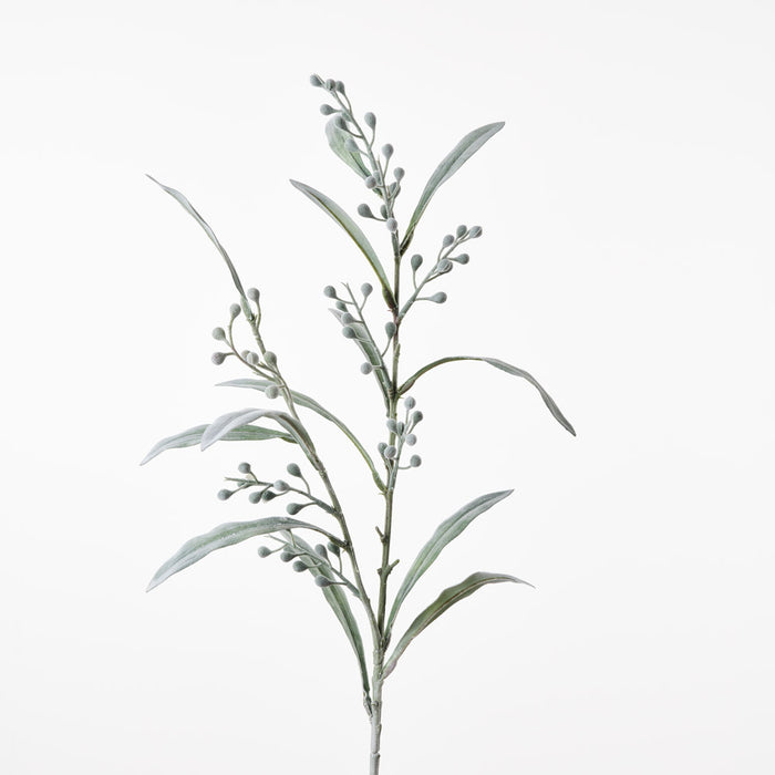 Mimosa Spray Grey Green 81cm Pack of 24