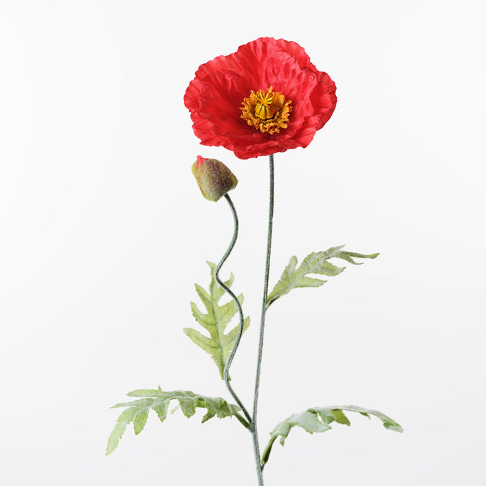 Poppy Iceland Spray Red 74cm Pack of 24