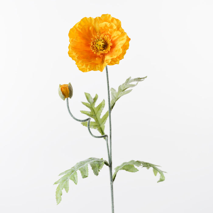 Poppy Iceland Spray Yellow 74cm Pack of 24