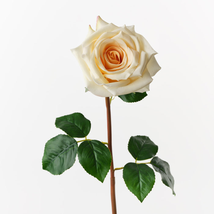 Rose Olivia Light Yellow 72cm Pack of 12