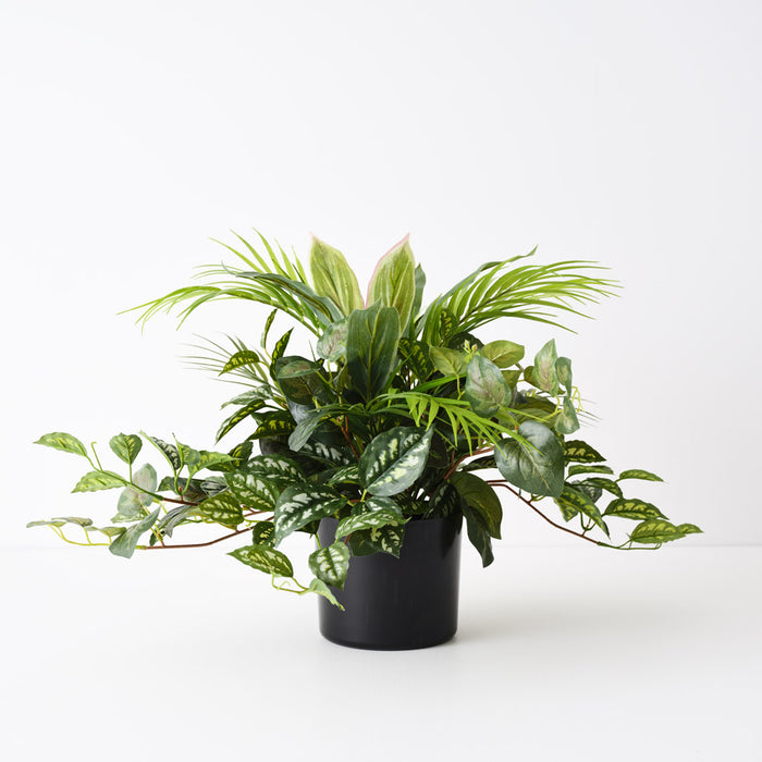Palm Mix Plant Green 48cm Pack of 4