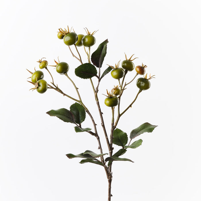 Rosehip Spray Green 66cm Pack of 12