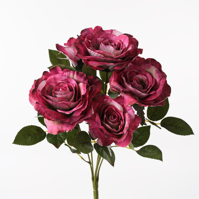 Rose Audrey Bush Fuschia 53cm