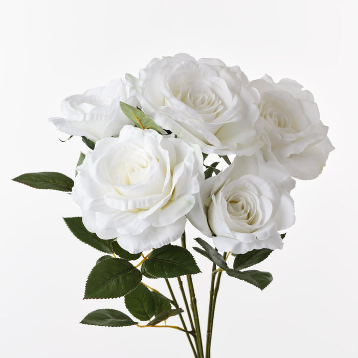 Rose Audrey Bush White 53cm Pack of 6