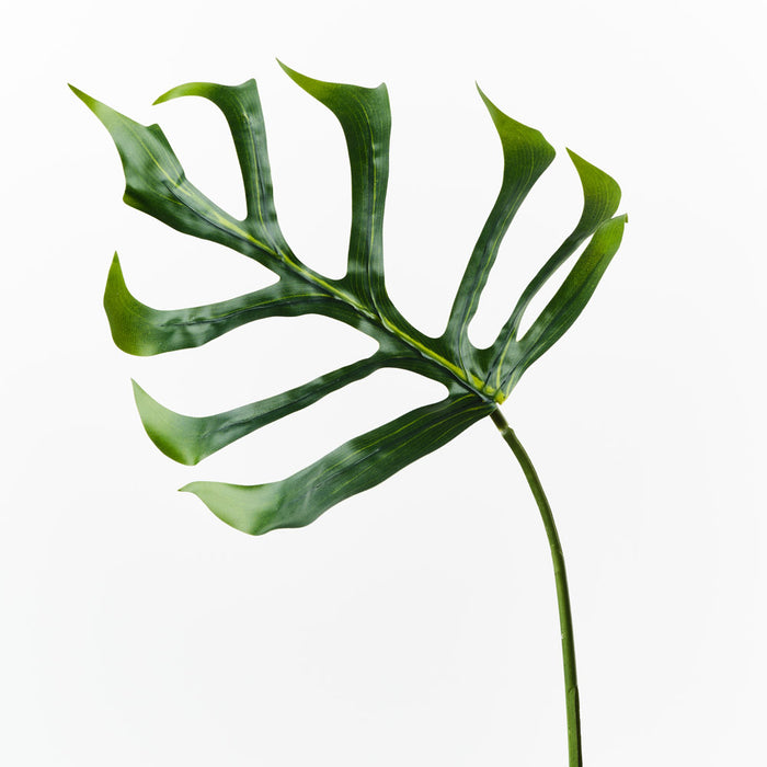 Monstera Leaf Green 63cm Pack of 12