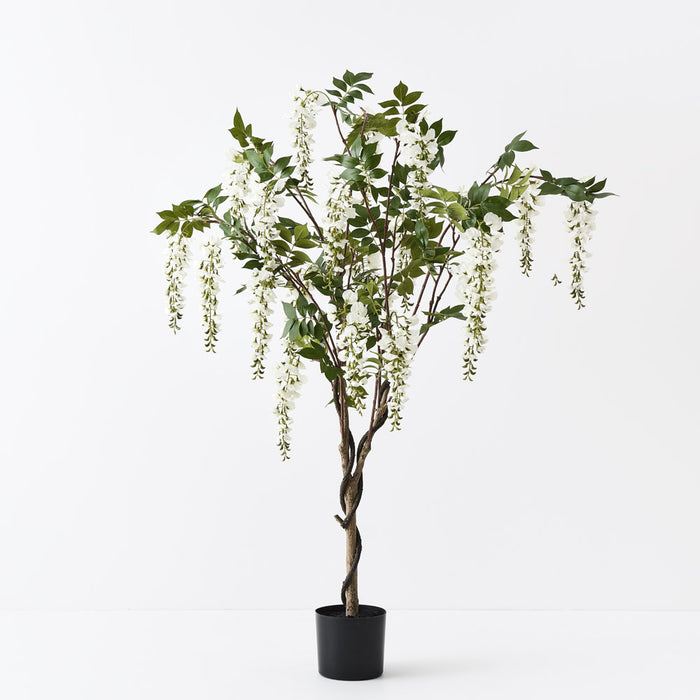Wisteria Tree White 150cm Pack of 2