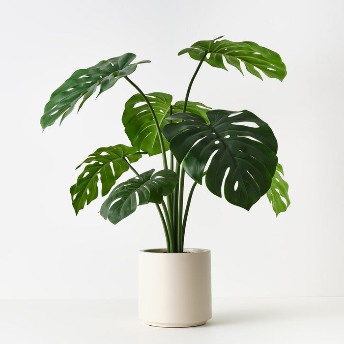 Monstera Plant in Oslo Pot Green 90cm