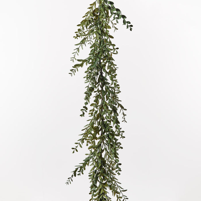 Boxwood Garland Green 182cm Pack of 3