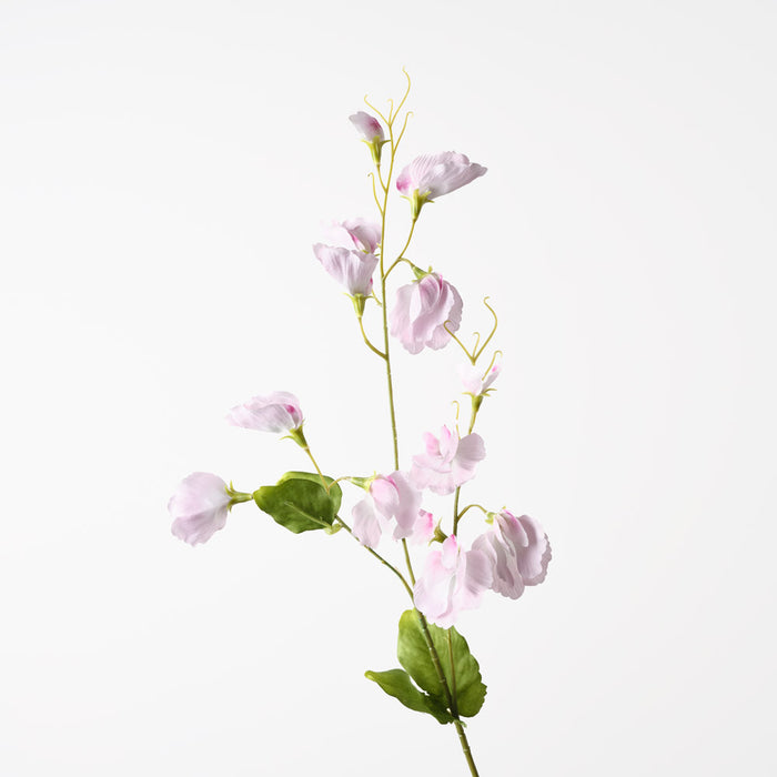 Sweet Pea Spray Light Pink 72cm Pack of 12