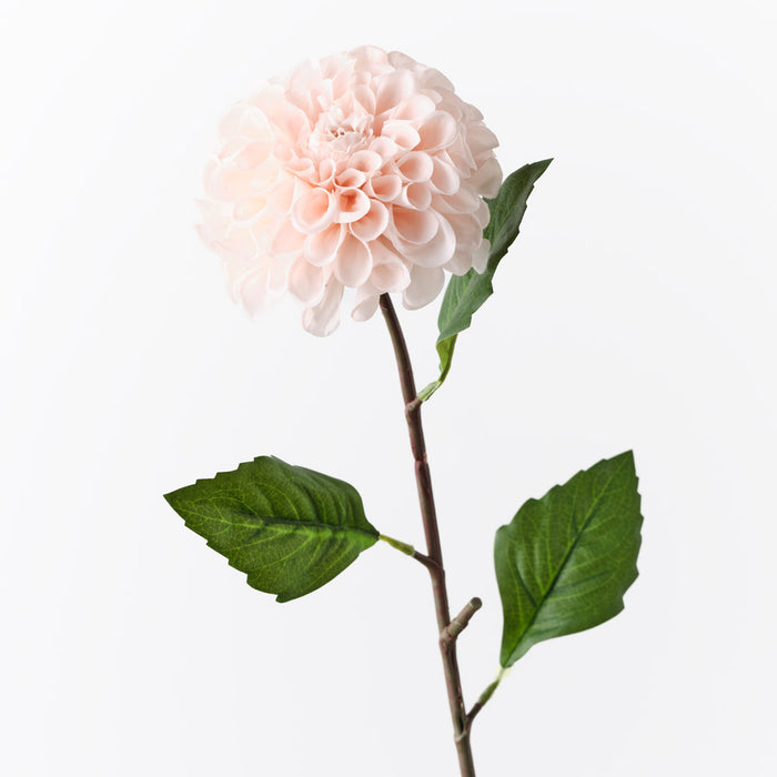 Dahlia Pompon Soft Pink 58cm Pack of 12