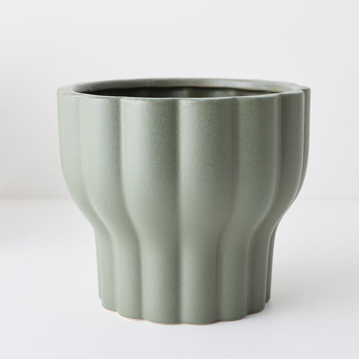 Naku Pot Olive 22cm x 25cm Pack of 2