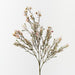 Wax Flower Champagne 85cm Pack of 12