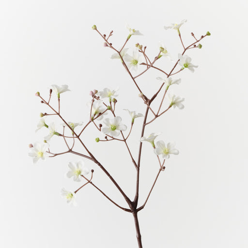 Blossom Cherry Spray White 55cm Pack of 24