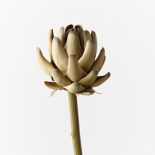 Artichoke Stem Green Brown 56cm Pack of 12