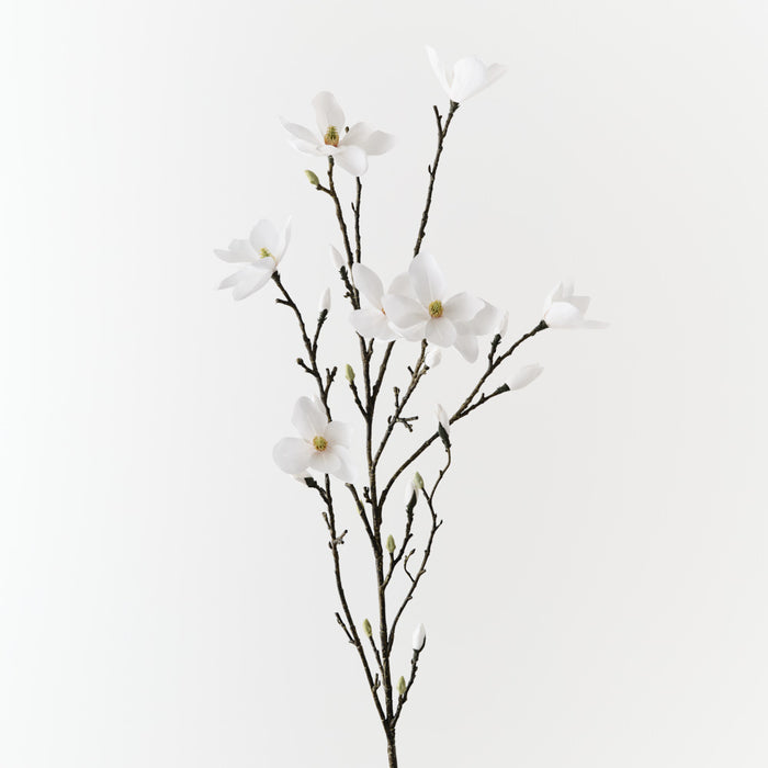 Magnolia Japanese Spray White 155cm Pack of 4