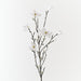 Magnolia Japanese Spray White 155cm Pack of 4