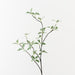 Pittosporum Leaf Spray Variegated 94cm Set of 12