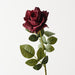 Rose Bettina Black Plum 68cm Pack of 12