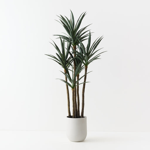 Yucca Plant Green 183cm
