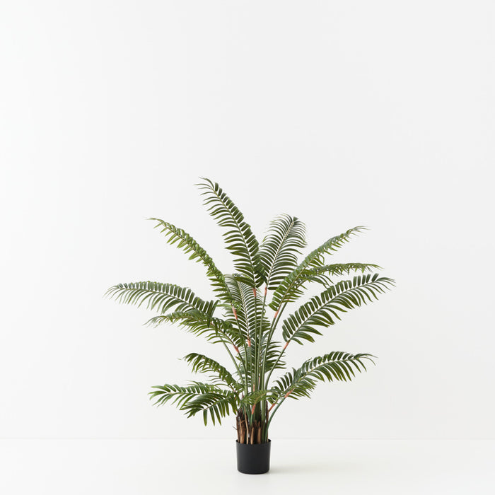 Palm Areca Green 120cm Pack of 2