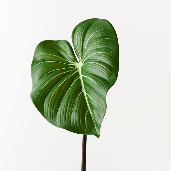 Philodendron Leaf Green 74cm Pack of 12