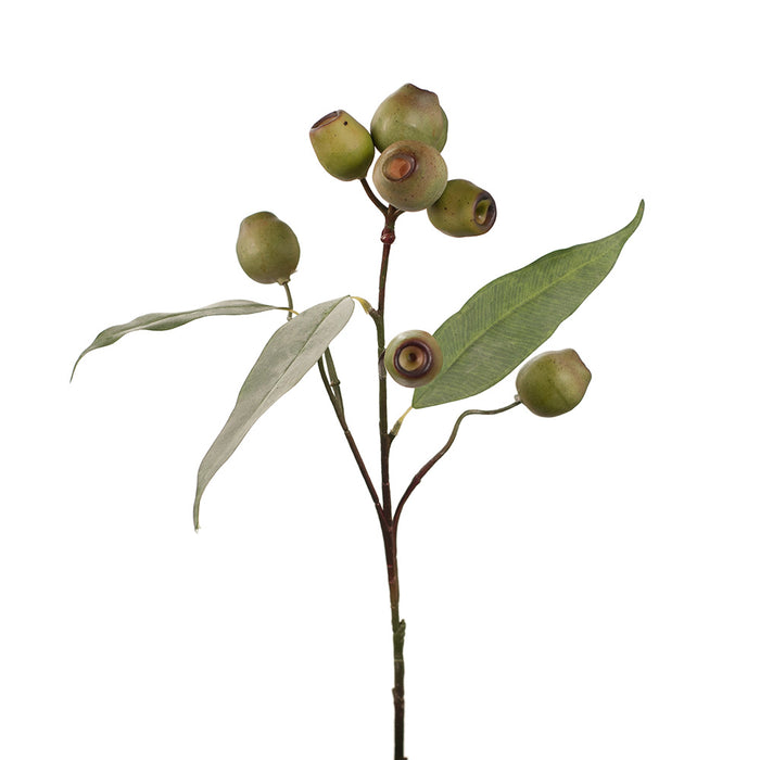 Eucalyptus Gum Nut Spray Green 64cm - Pack of 12
