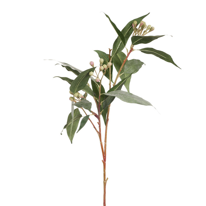 Eucalyptus Seed Spray Grey Green 83cm - Pack of 12