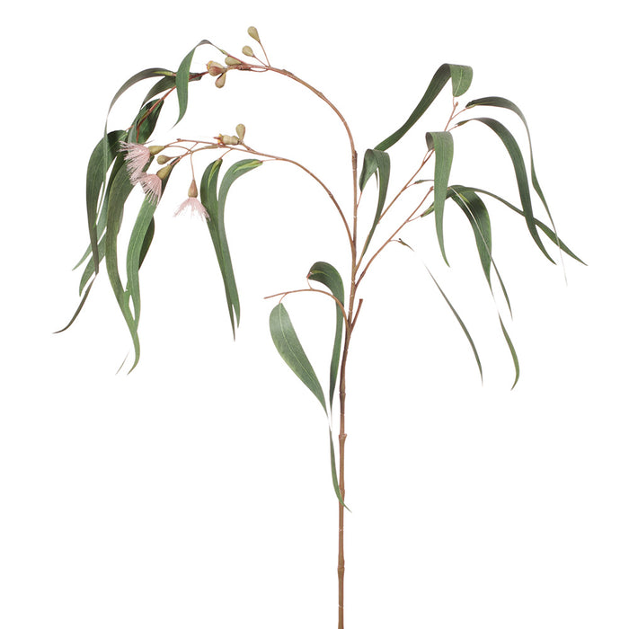 Eucalyptus Flowering Long Leaf Pink 96cm - Pack of 12