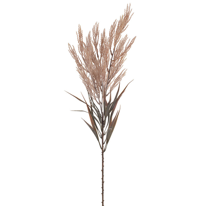 Plume Grass Spray Dusty Pink 88cm - Pack of 12