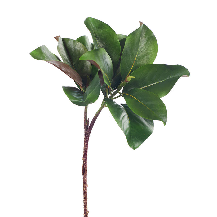 Magnolia Leaf Spray Green 83cm - Pack of 12