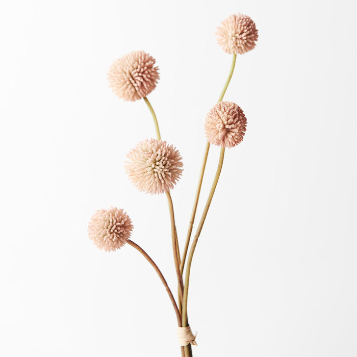 Billy Button Bundle Light Pink 48cm - Pack of 12