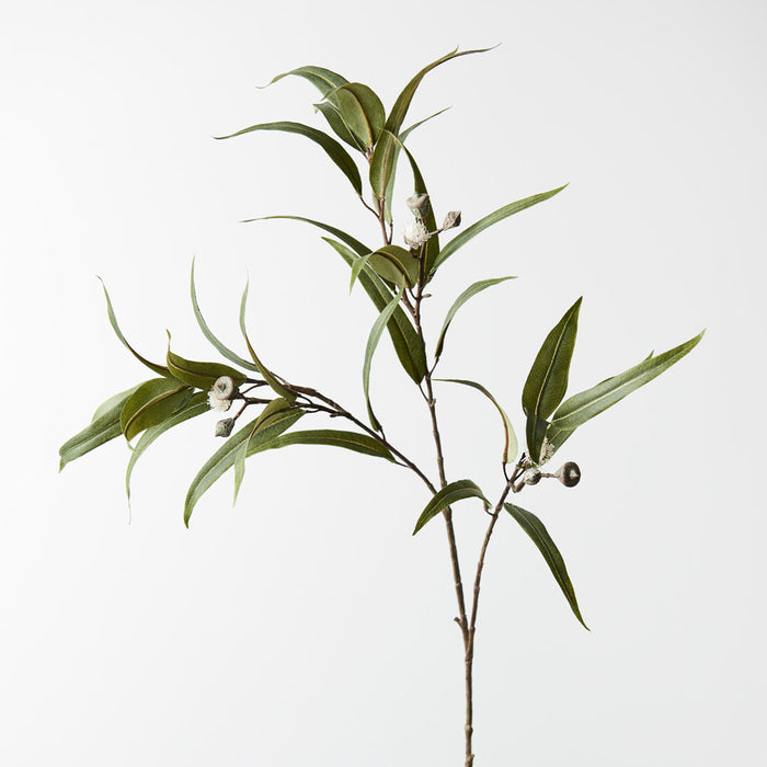 Eucalyptus Pod Flowering White 91cm - Pack of 12